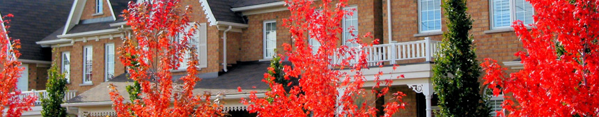 hip-consultant.co.uk contact page, houses with red blossom trees